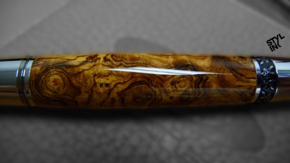 hondroseburl4